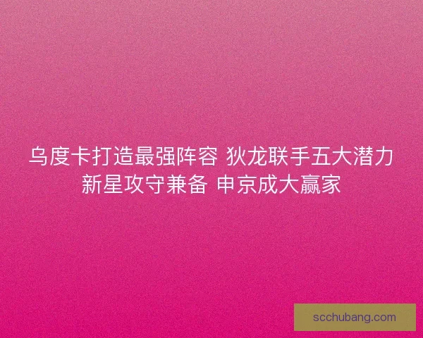 乌度卡打造最强阵容 狄龙联手五大潜力新星攻守兼备 申京成大赢家